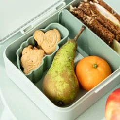 Boîte à goûter avec séparateur Playground Vert