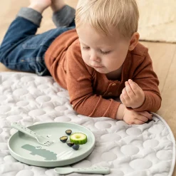 Foodie assiette - Croco - Vert