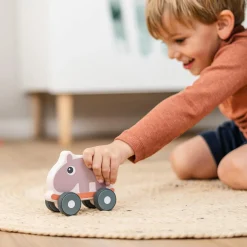 Jouet à pousser - Ozzo - Rose